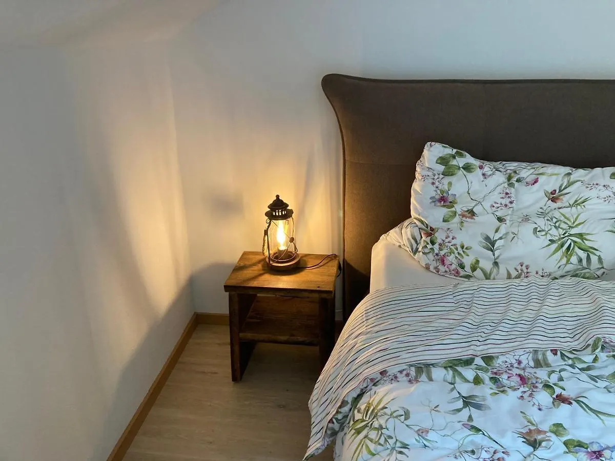 Ferienwohnung Bahnhof Regen Mit Wellness 0*,  Germany